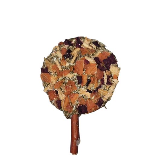 Veggie Lollipop